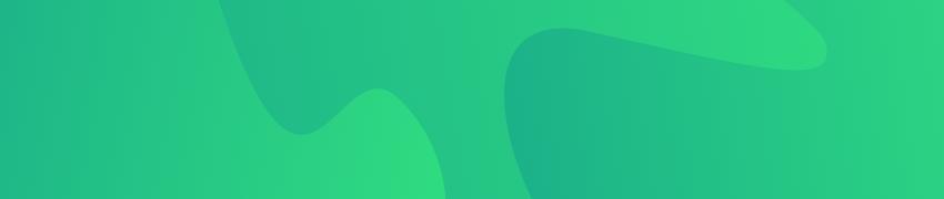 Main Duolingo Features