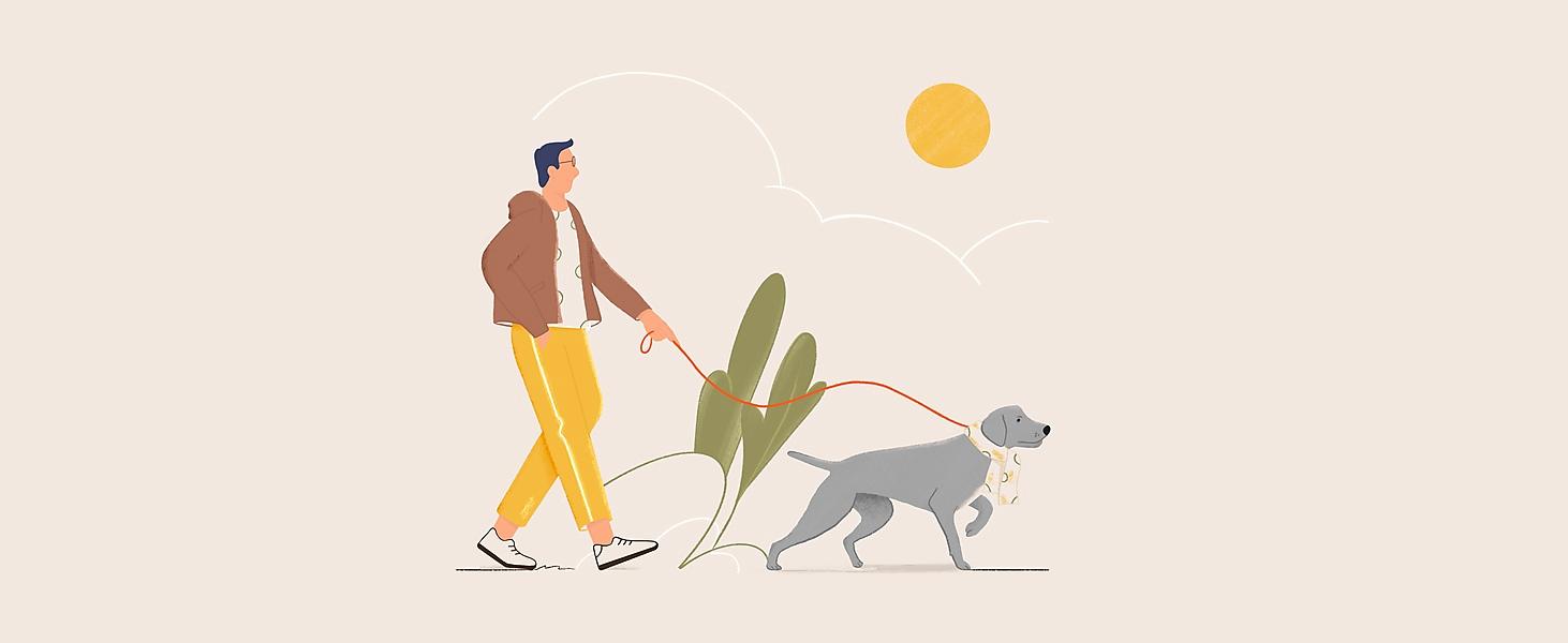 How to Build an On-demand Dog Walking App?